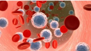 150528132036_blood_cancer_cells__640x360_sciencephotolibrary_nocredit