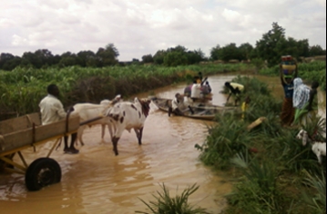 নাইজারে বন্যায় ৩৮ জনের মৃত্যু, গৃহহীন ৯২ হাজার