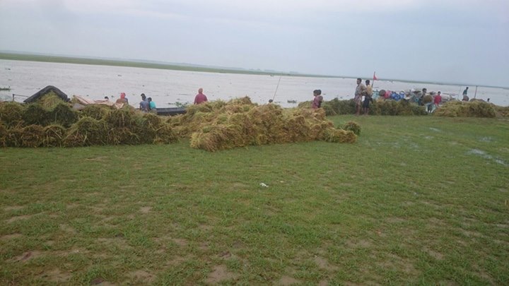 ফেঞ্চুগঞ্জে টানা বৃষ্টিতে বোরো ফসলের ব্যাপক ক্ষয়ক্ষতি